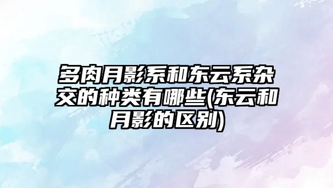 多肉月影系和東云系雜交的種類(lèi)有哪些(東云和月影的區(qū)別)