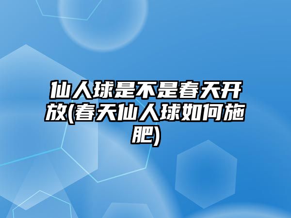 仙人球是不是春天開放(春天仙人球如何施肥)