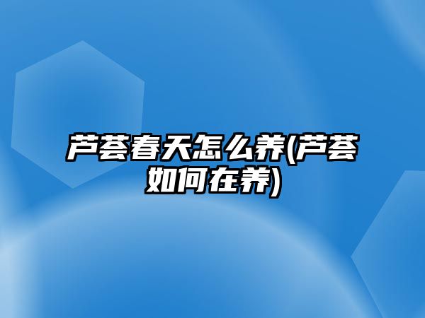 蘆薈春天怎么養(yǎng)(蘆薈如何在養(yǎng))