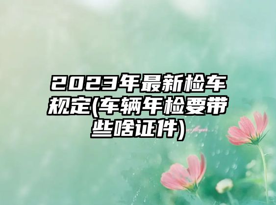 2023年最新檢車(chē)規(guī)定(車(chē)輛年檢要帶些啥證件)