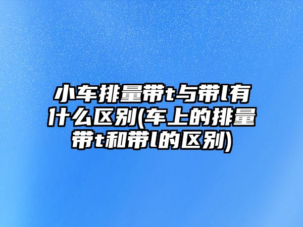 小車排量帶t與帶l有什么區(qū)別(車上的排量帶t和帶l的區(qū)別)