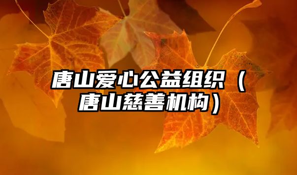 唐山愛心公益組織（唐山慈善機構(gòu)）