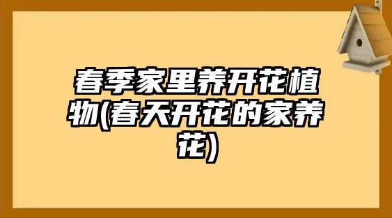 春季家里養(yǎng)開(kāi)花植物(春天開(kāi)花的家養(yǎng)花)