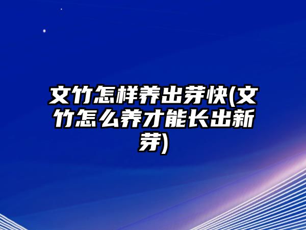 文竹怎樣養(yǎng)出芽快(文竹怎么養(yǎng)才能長(zhǎng)出新芽)