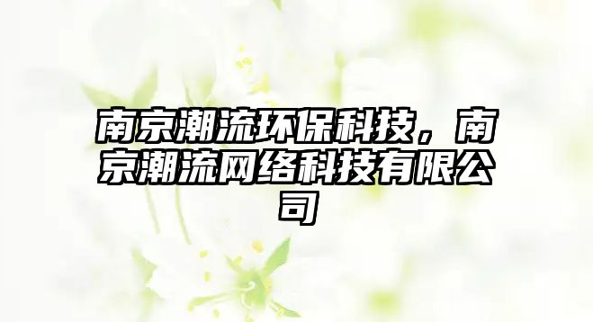 南京潮流環(huán)?？萍?，南京潮流網(wǎng)絡(luò)科技有限公司