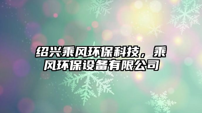 紹興乘風(fēng)環(huán)?？萍迹孙L(fēng)環(huán)保設(shè)備有限公司