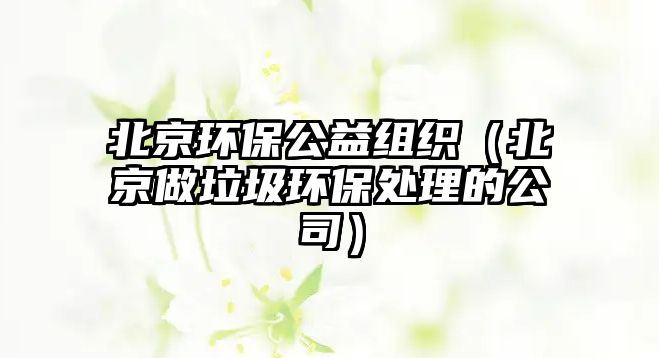 北京環(huán)保公益組織（北京做垃圾環(huán)保處理的公司）