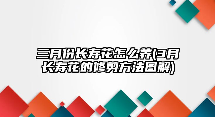 三月份長壽花怎么養(yǎng)(3月長壽花的修剪方法圖解)