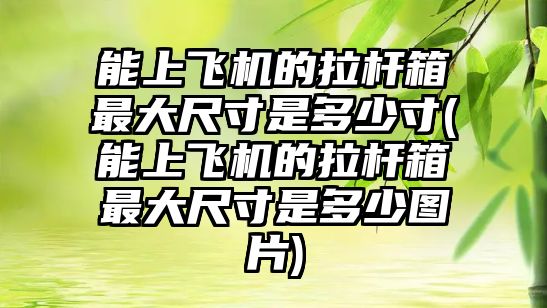 能上飛機的拉桿箱最大尺寸是多少寸(能上飛機的拉桿箱最大尺寸是多少圖片)