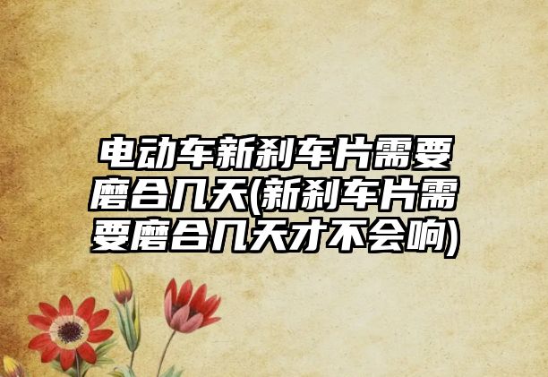 電動車新剎車片需要磨合幾天(新剎車片需要磨合幾天才不會響)