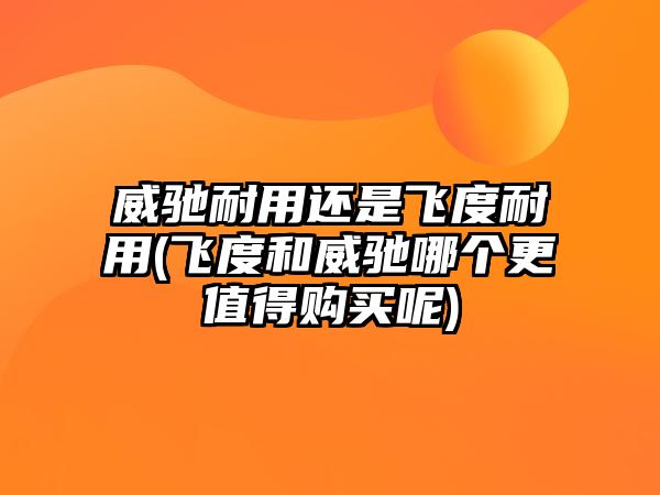 威馳耐用還是飛度耐用(飛度和威馳哪個(gè)更值得購(gòu)買呢)