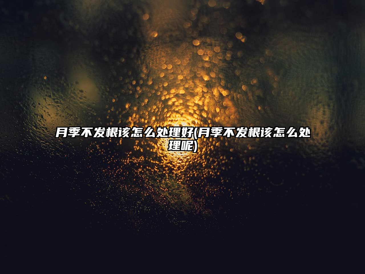 月季不發(fā)根該怎么處理好(月季不發(fā)根該怎么處理呢)