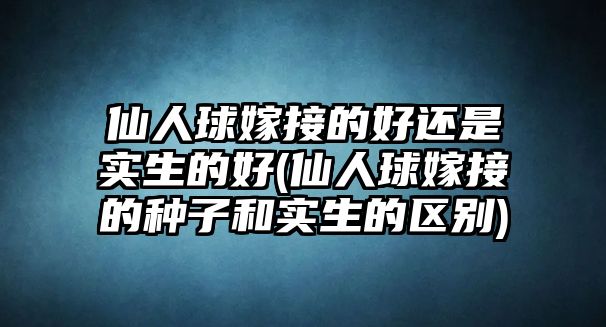 仙人球嫁接的好還是實(shí)生的好(仙人球嫁接的種子和實(shí)生的區(qū)別)