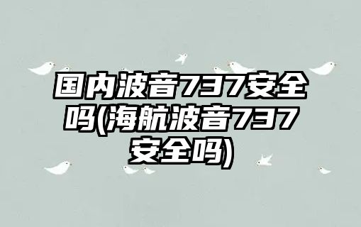 國內波音737安全嗎(海航波音737安全嗎)