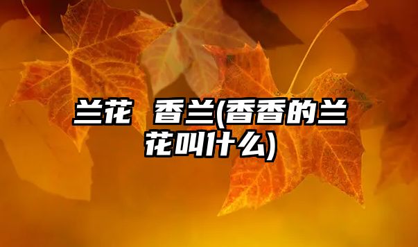 蘭花 香蘭(香香的蘭花叫什么)