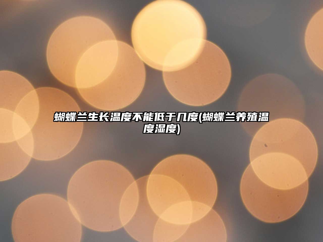 蝴蝶蘭生長(zhǎng)溫度不能低于幾度(蝴蝶蘭養(yǎng)殖溫度濕度)