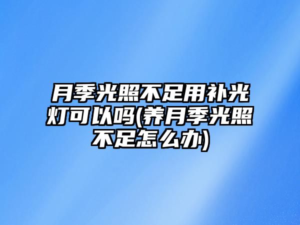 月季光照不足用補光燈可以嗎(養(yǎng)月季光照不足怎么辦)