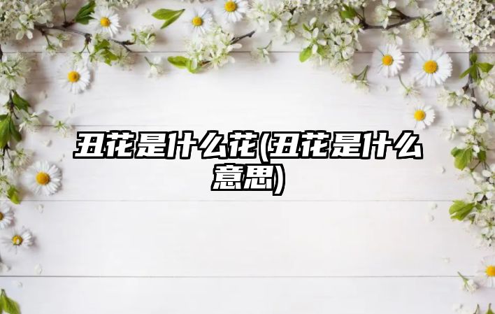 丑花是什么花(丑花是什么意思)