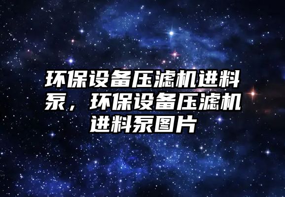 環(huán)保設(shè)備壓濾機進料泵，環(huán)保設(shè)備壓濾機進料泵圖片