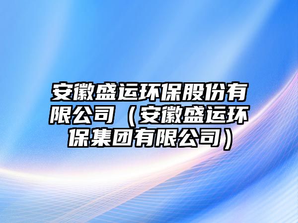 安徽盛運(yùn)環(huán)保股份有限公司（安徽盛運(yùn)環(huán)保集團(tuán)有限公司）