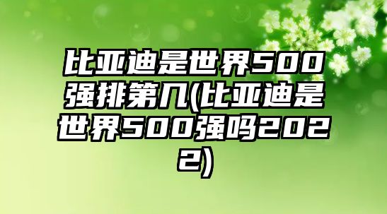 比亞迪是世界500強排第幾(比亞迪是世界500強嗎2022)