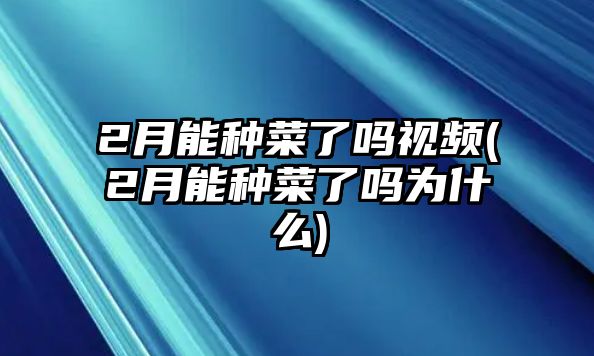 2月能種菜了嗎視頻(2月能種菜了嗎為什么)