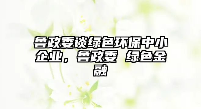 魯政委談綠色環(huán)保中小企業(yè)，魯政委 綠色金融