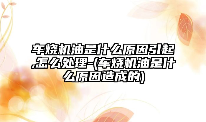 車燒機油是什么原因引起,怎么處理-(車燒機油是什么原因造成的)