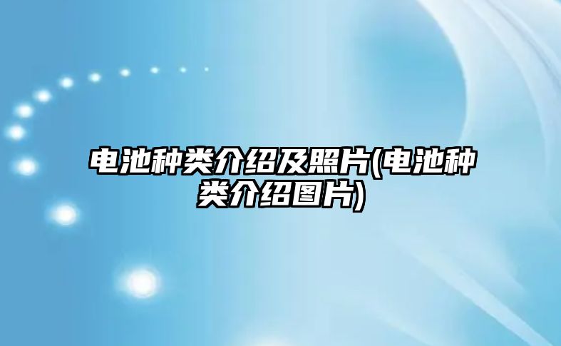 電池種類(lèi)介紹及照片(電池種類(lèi)介紹圖片)