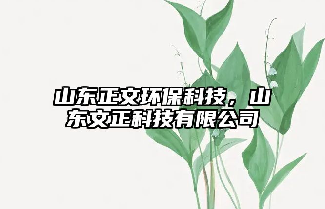 山東正文環(huán)?？萍迹綎|文正科技有限公司