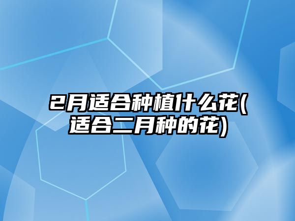 2月適合種植什么花(適合二月種的花)