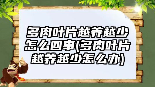 多肉葉片越養(yǎng)越少怎么回事(多肉葉片越養(yǎng)越少怎么辦)