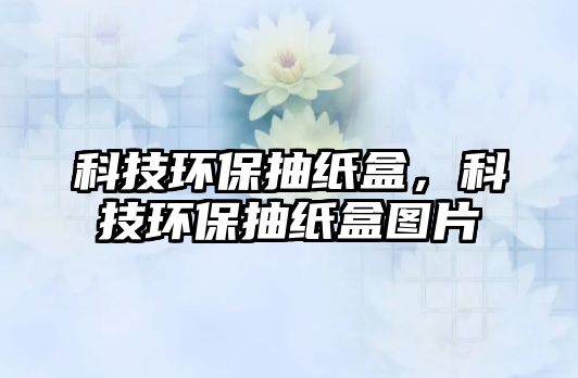 科技環(huán)保抽紙盒，科技環(huán)保抽紙盒圖片