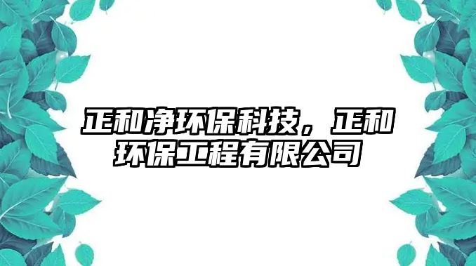 正和凈環(huán)保科技，正和環(huán)保工程有限公司