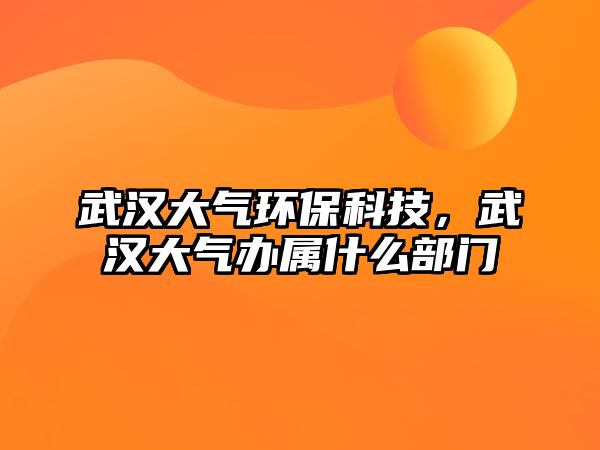 武漢大氣環(huán)?？萍迹錆h大氣辦屬什么部門