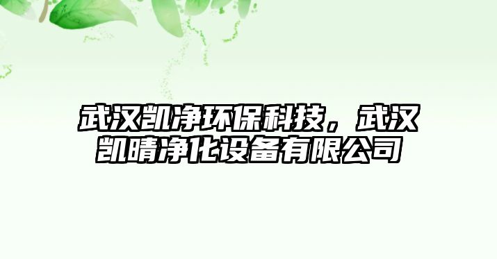 武漢凱凈環(huán)?？萍?，武漢凱晴凈化設(shè)備有限公司