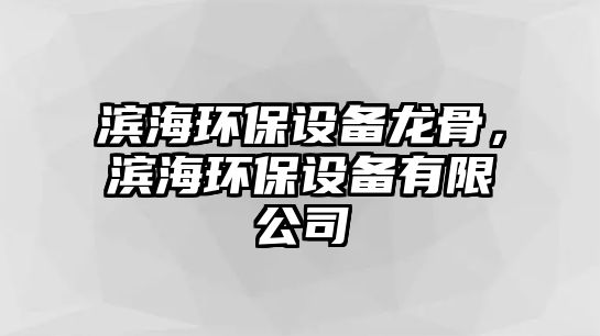 濱海環(huán)保設(shè)備龍骨，濱海環(huán)保設(shè)備有限公司